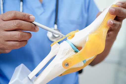Orthopaedics